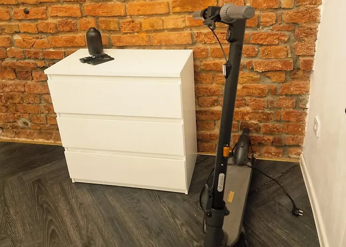 - Renta 19 * 考纳斯